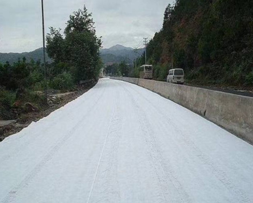 Geotextile Fabric for pavers