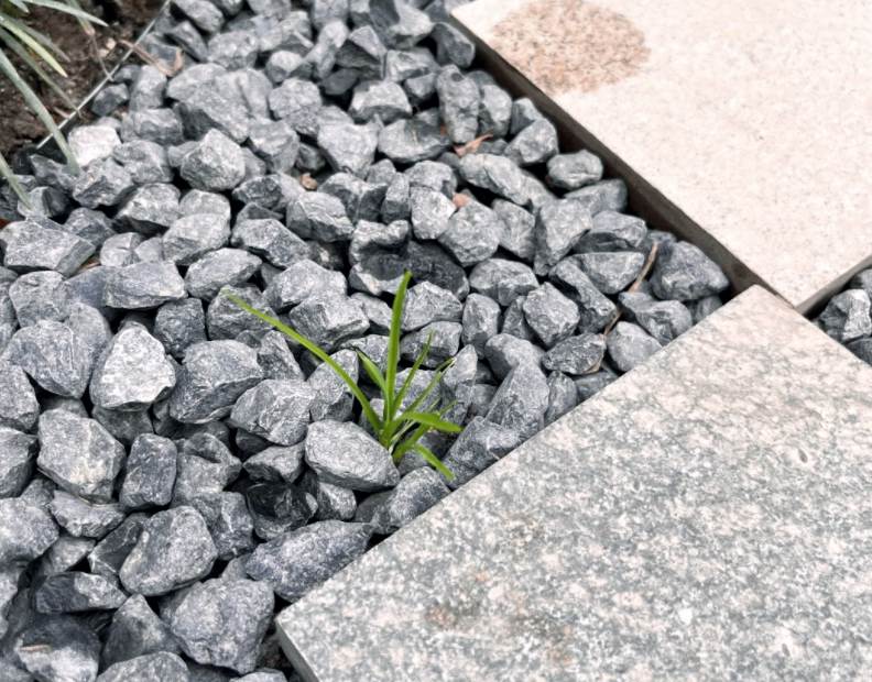 The Best Landscape Fabric Under Gravel