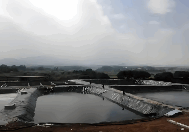 geomembrane liner